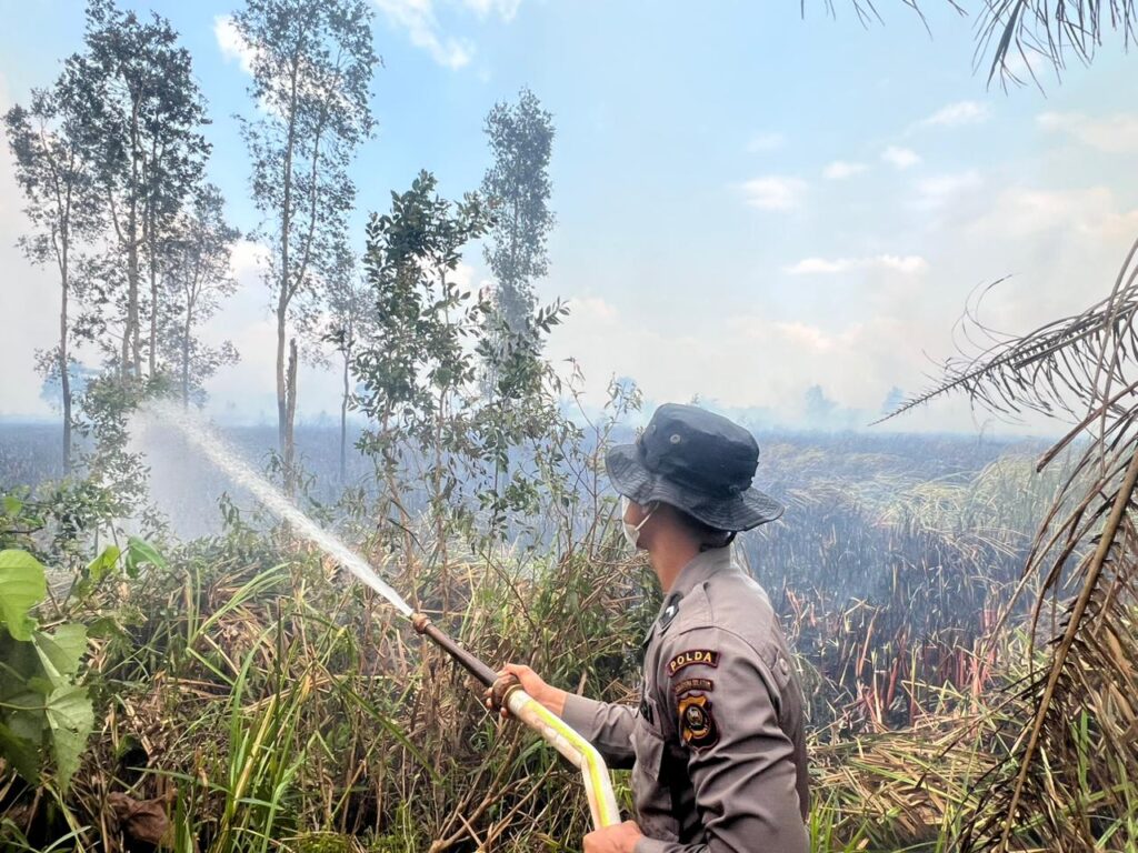 IMG-20260827-WA0073