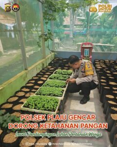 IMG-20260831-WA0016