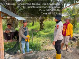 IMG-20260831-WA0017