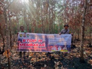 IMG-20260904-WA0006