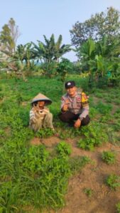 IMG-20260914-WA0034